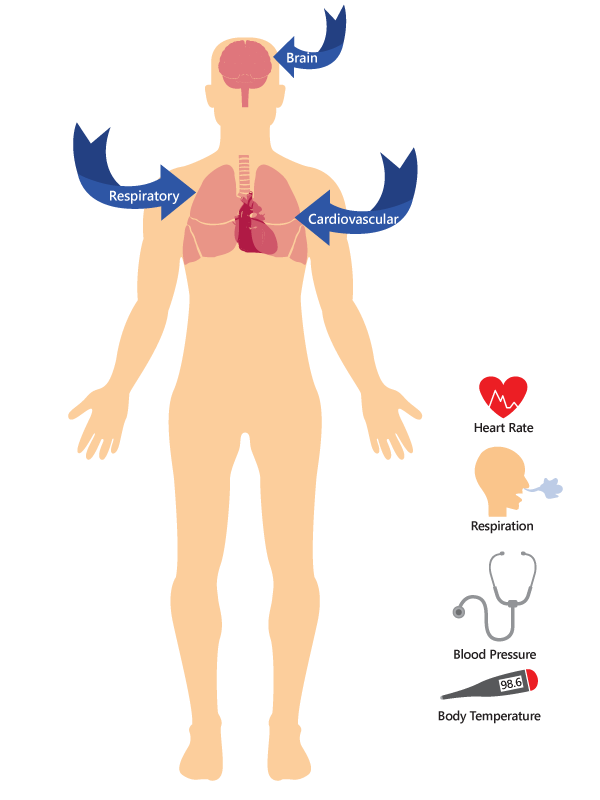 how body is effected by oxycontin graphic