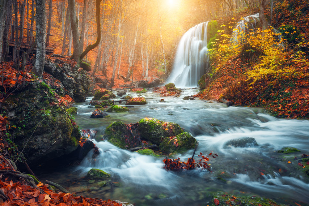 autumn brook autumn brook