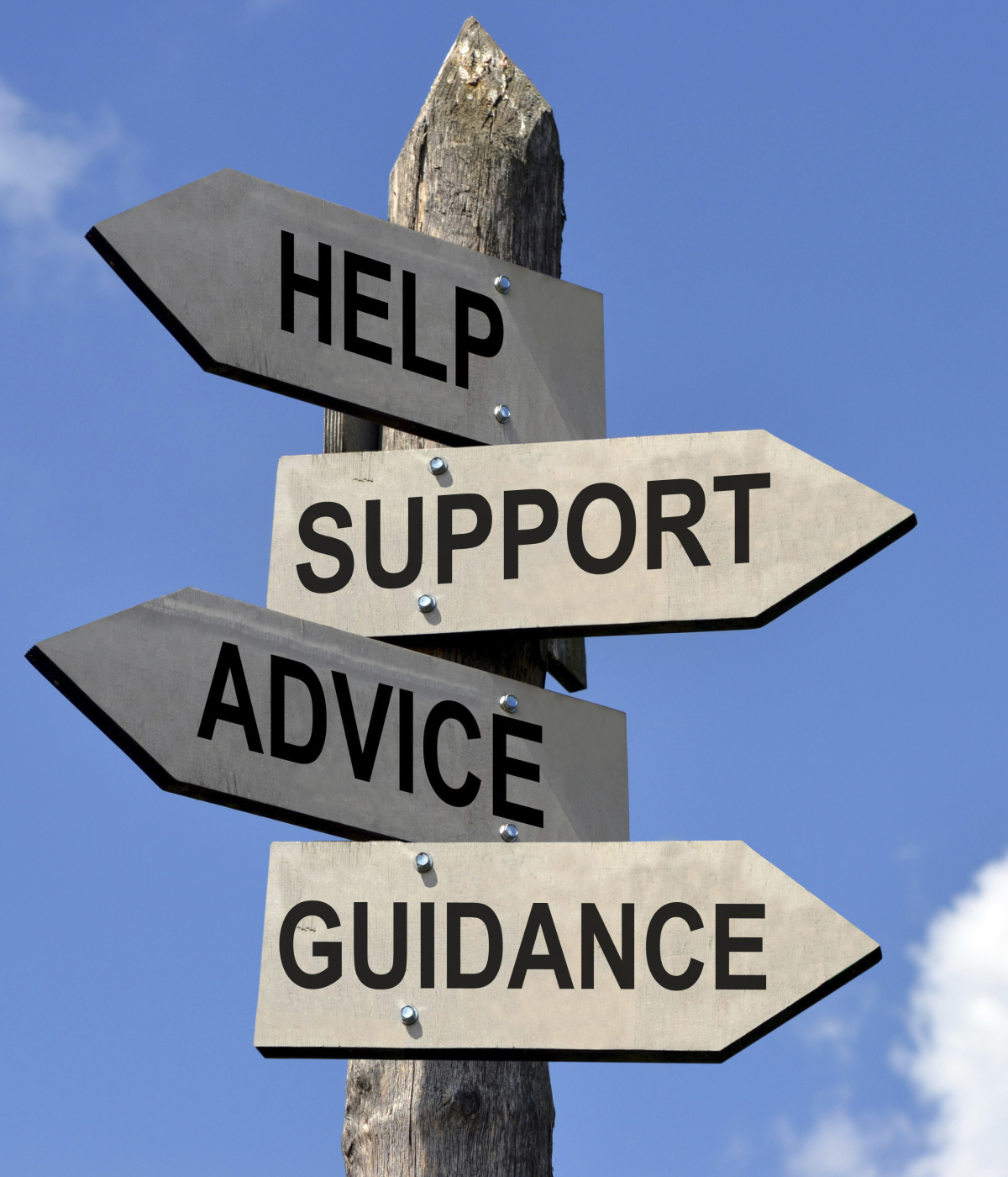 professional support, help and guidance